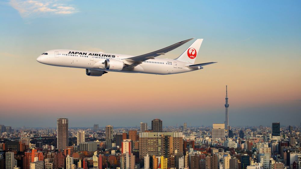 JAL 787-9 Dreamliner in flight
