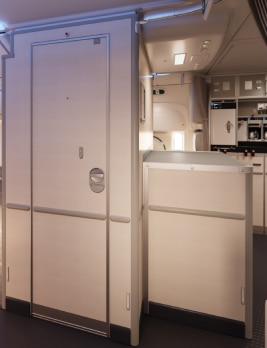 787 flight attendant service counterspace galley