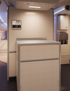 787 cabin crew overhead lighting galley cart