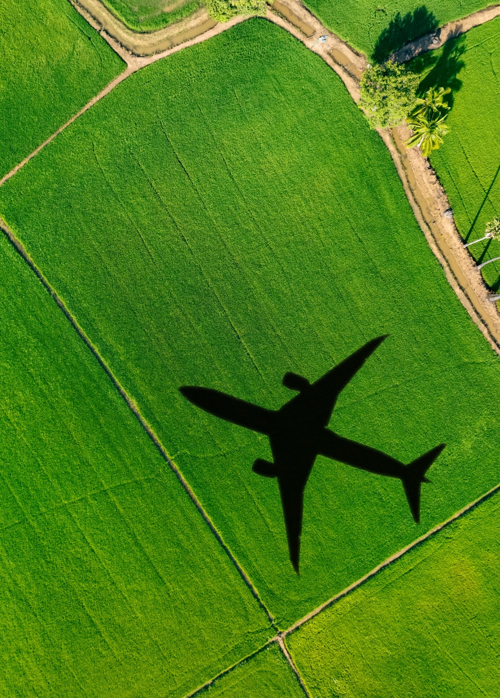 Environmental Compliance